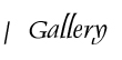 Celebration Generation Cake Gallery