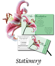 Celebration Generation Custom Stationery