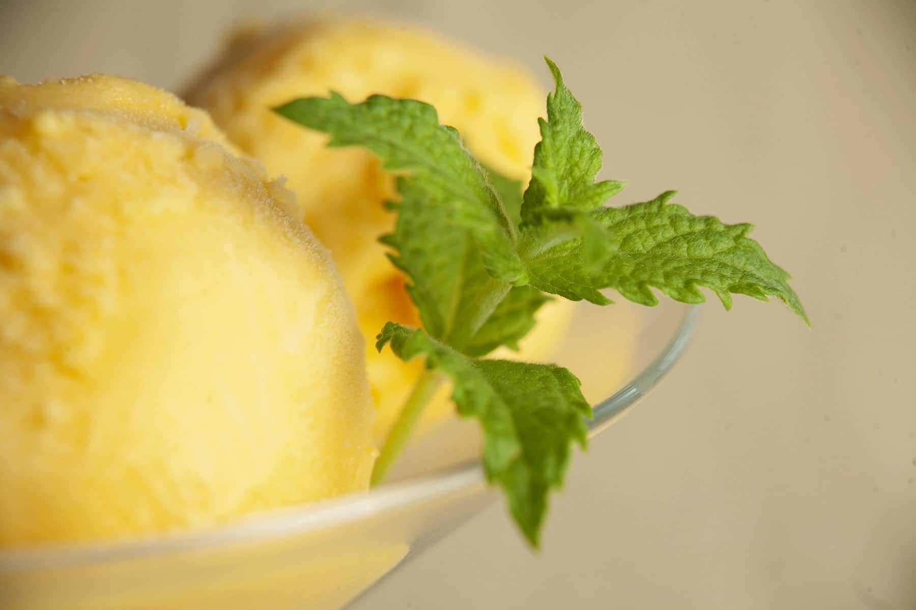 Two scoops of a rich yellow mango mojito ice cream, in a martini glass. It's garnished with a sprig of fresh mint.