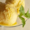 Two scoops of a rich yellow mango mojito ice cream, in a martini glass. It's garnished with a sprig of fresh mint.