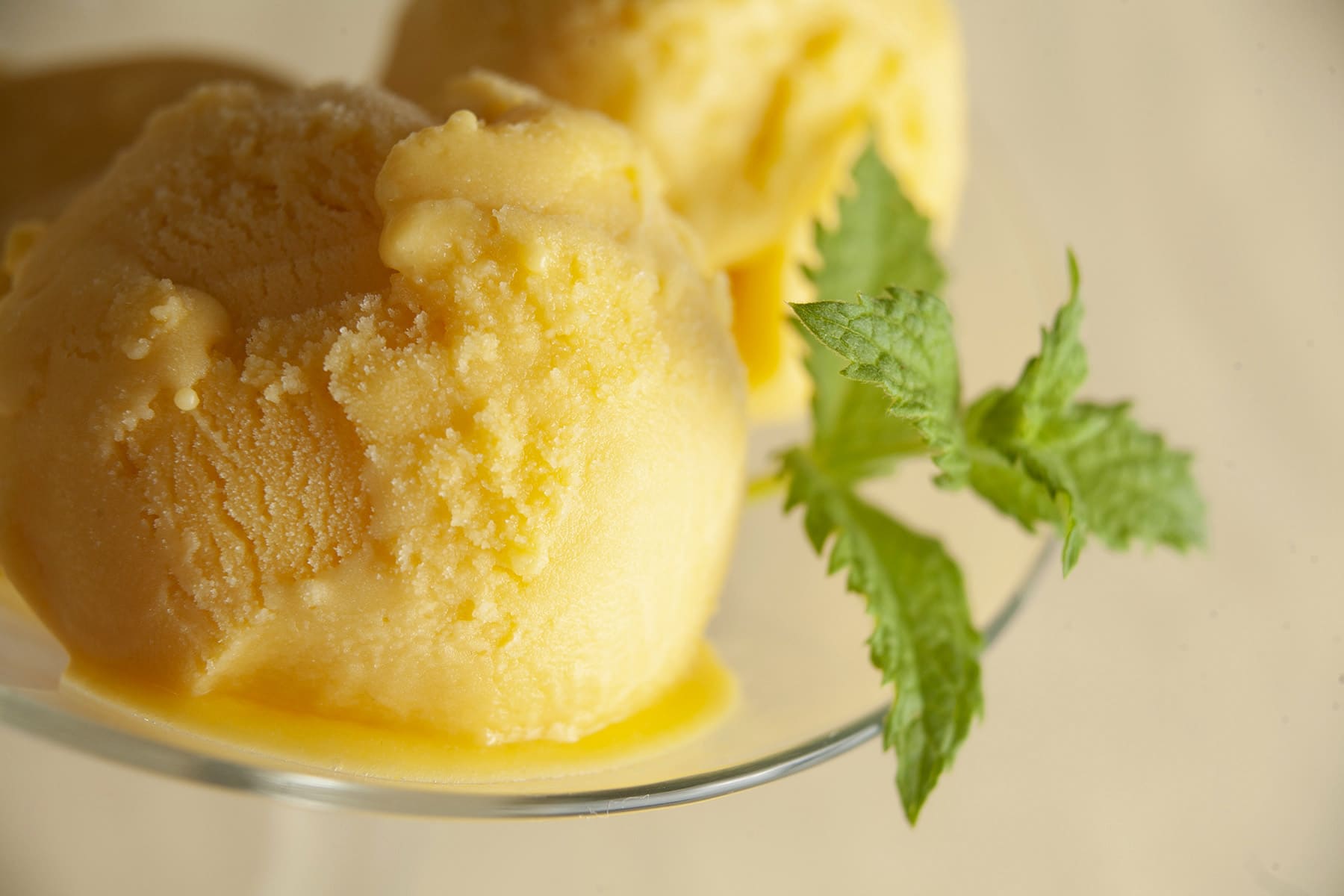Two scoops of a rich yellow mango mojito ice cream, in a martini glass.  It's garnished with a sprig of fresh mint.