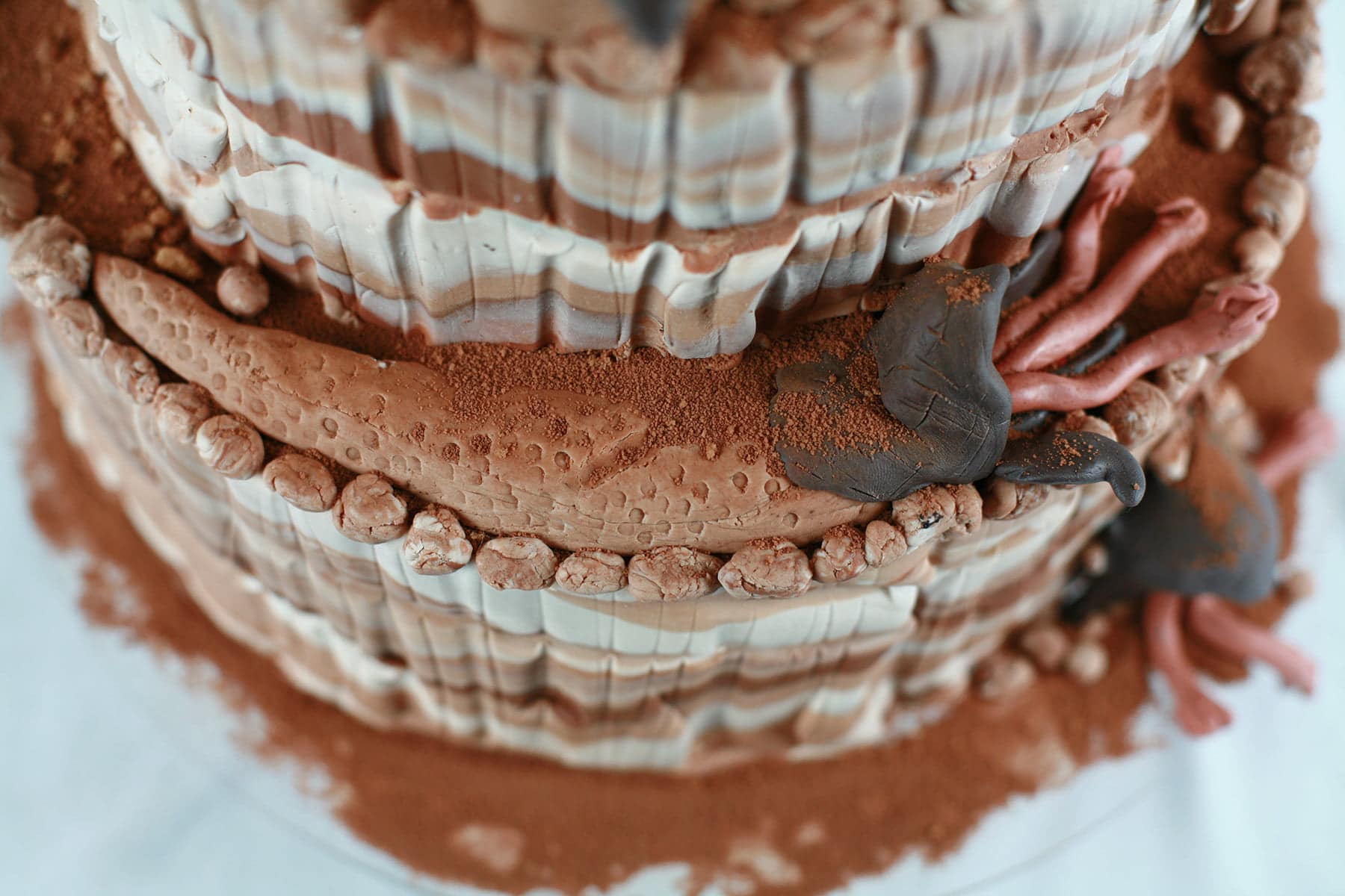 Detail photos of a "Tremors" themed wedding cake, almost entirely decorated in various shades of chocolate fondant.