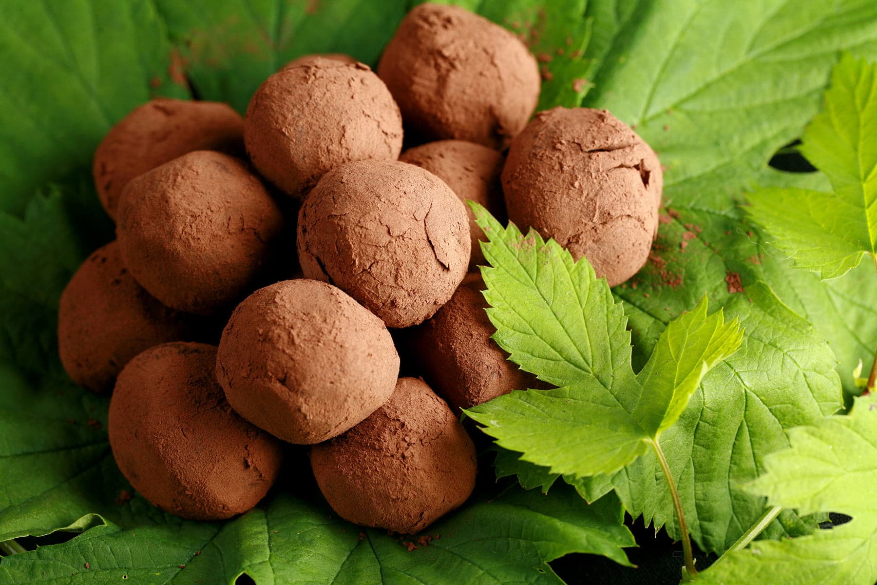 A mound of dark chocolate hop truffles rests on a pile of hop leaves and hop bines.