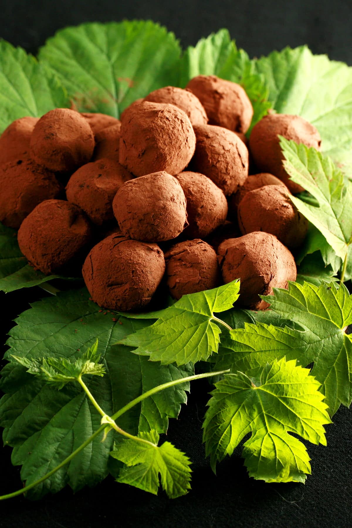 A mound of hop flavored dark chocolate truffles rests on a pile of hop leaves and hop bines.
