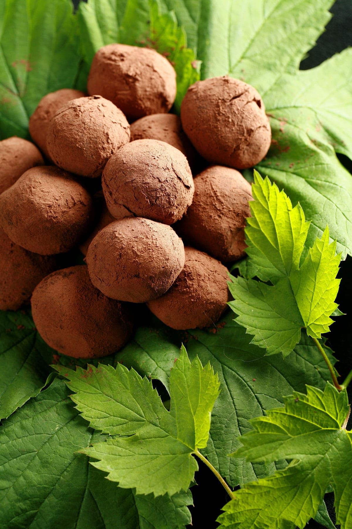 A mound of dark chocolate hop truffles rests on a pile of hop leaves and hop bines.