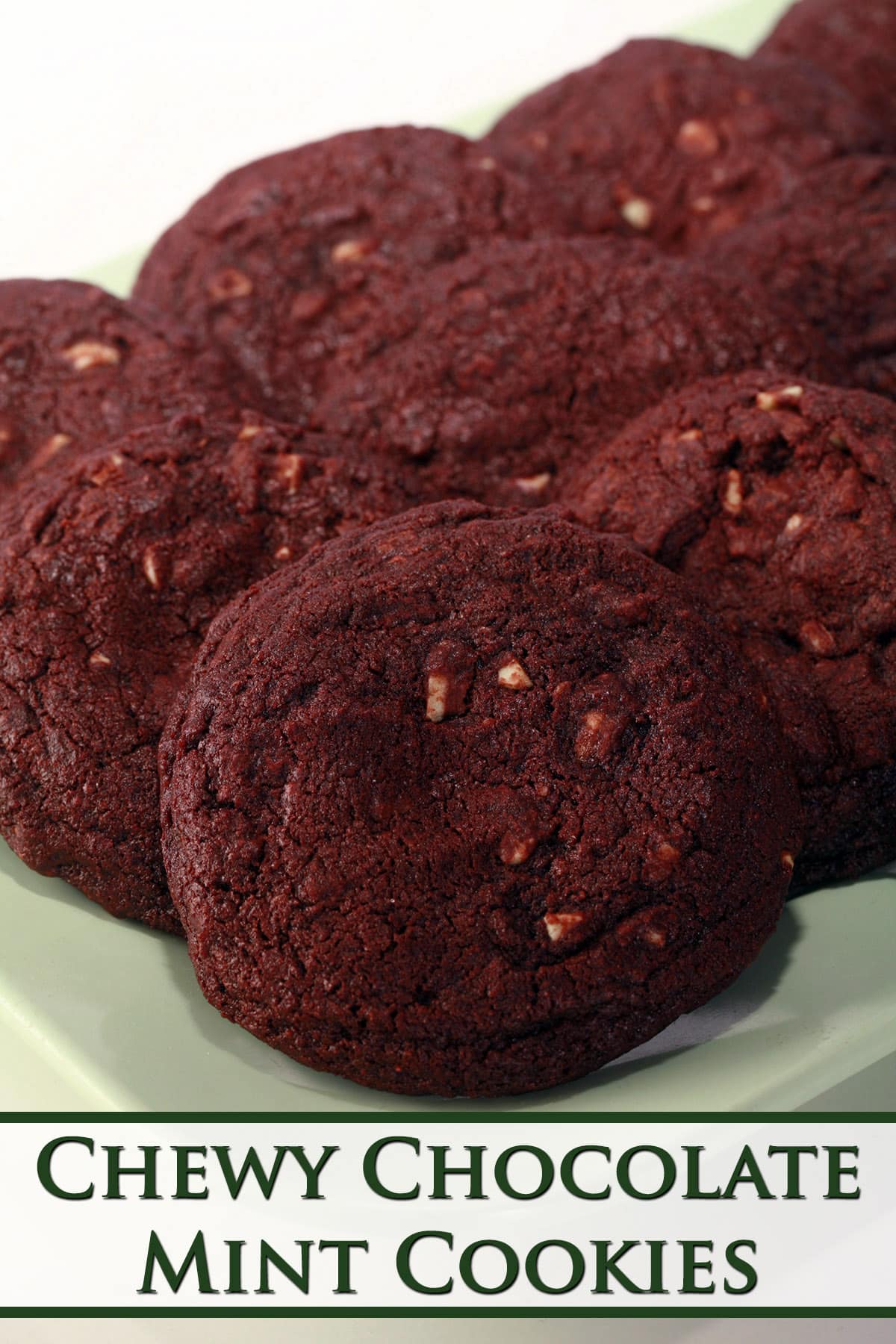 A plate of chewy chocolate mint cookies.