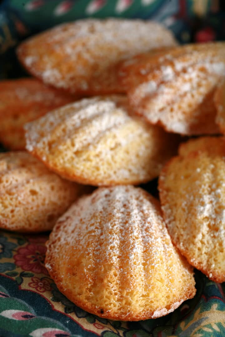 Limoncello Madeleines - Celebration Generation
