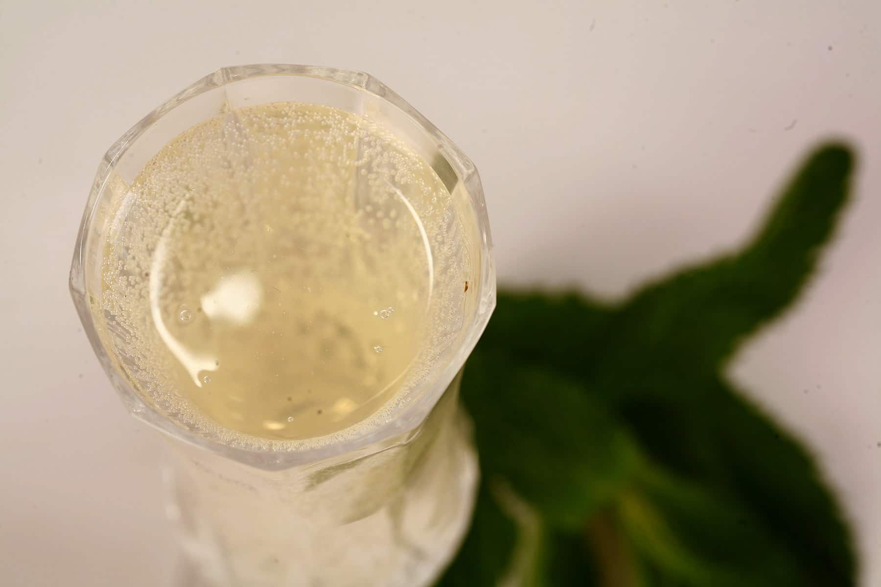 A tall champagne flute of sparkling mint wine, with a large spring of mint at the base of the glass. White background.