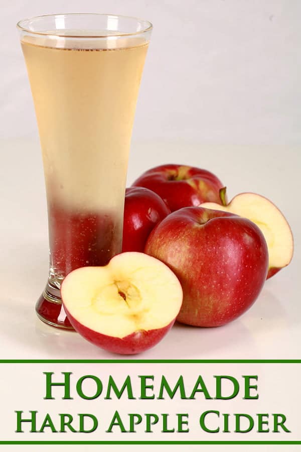 Homemade Hard Apple Cider Celebration Generation