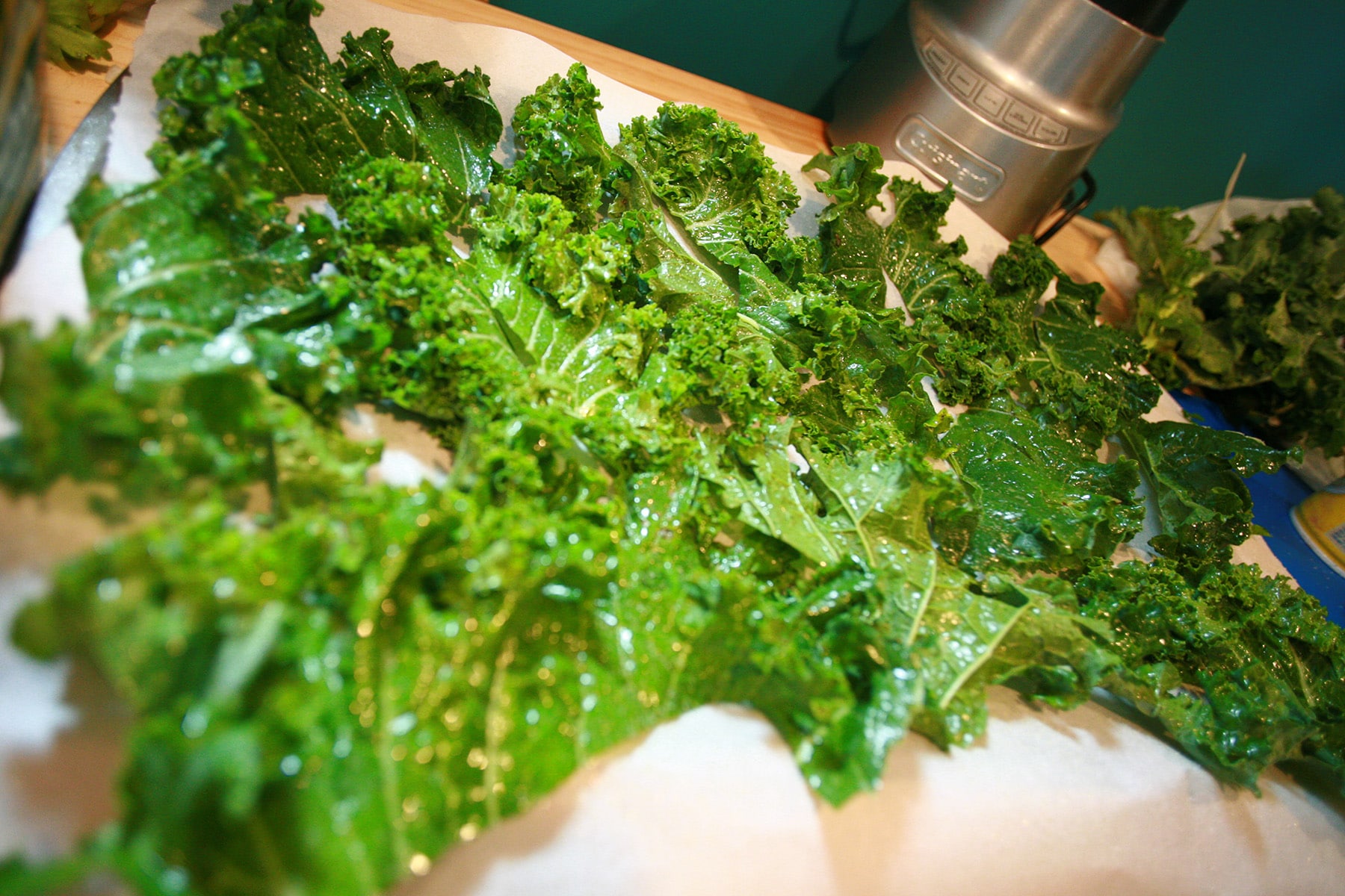 Fresh kale leaves are sperad out and coated with a small amount of oil.