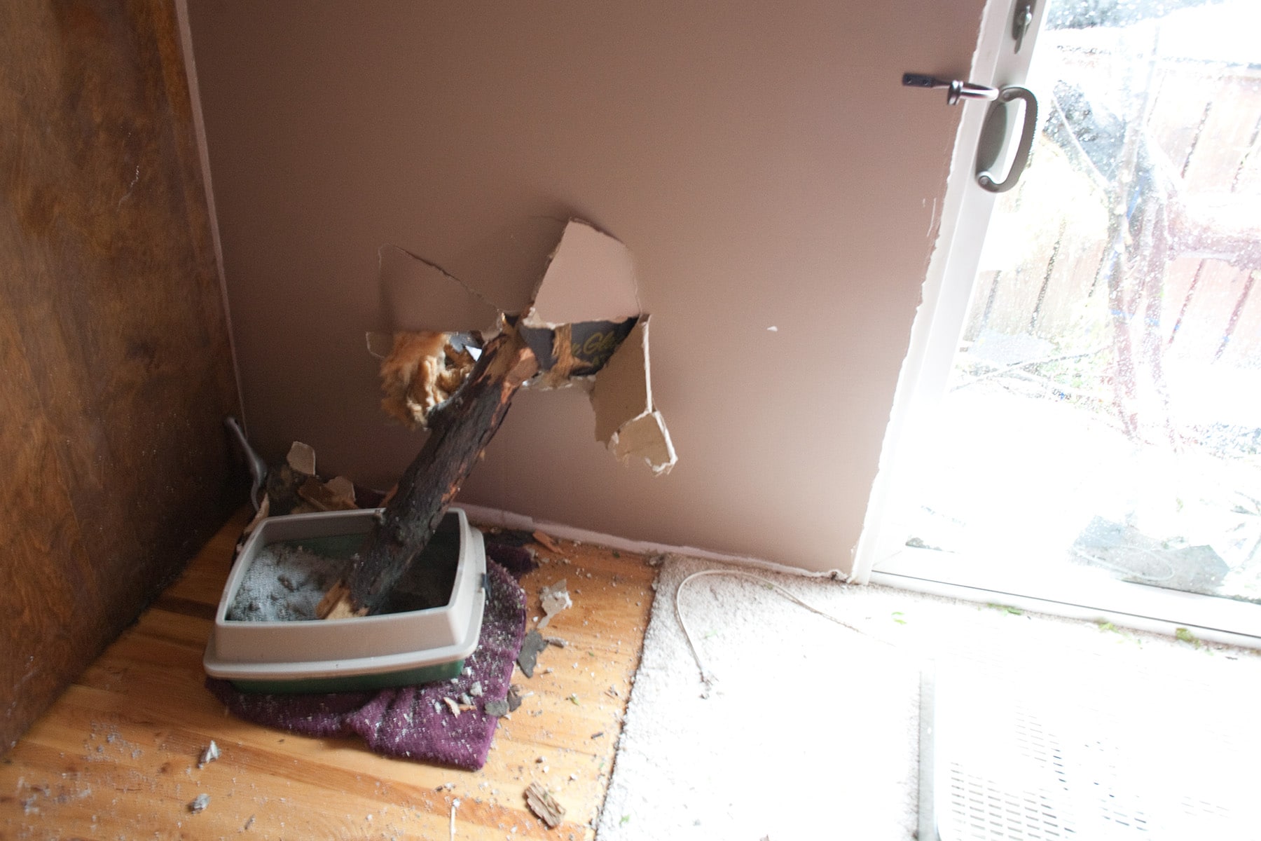 Interior shot of the house, showing the thick branch of tree that had pierced the wall and landed in the cat litter.