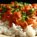 A close up view of Butter Chicken - Chicken in a creamy tomato sauce, served over rice.