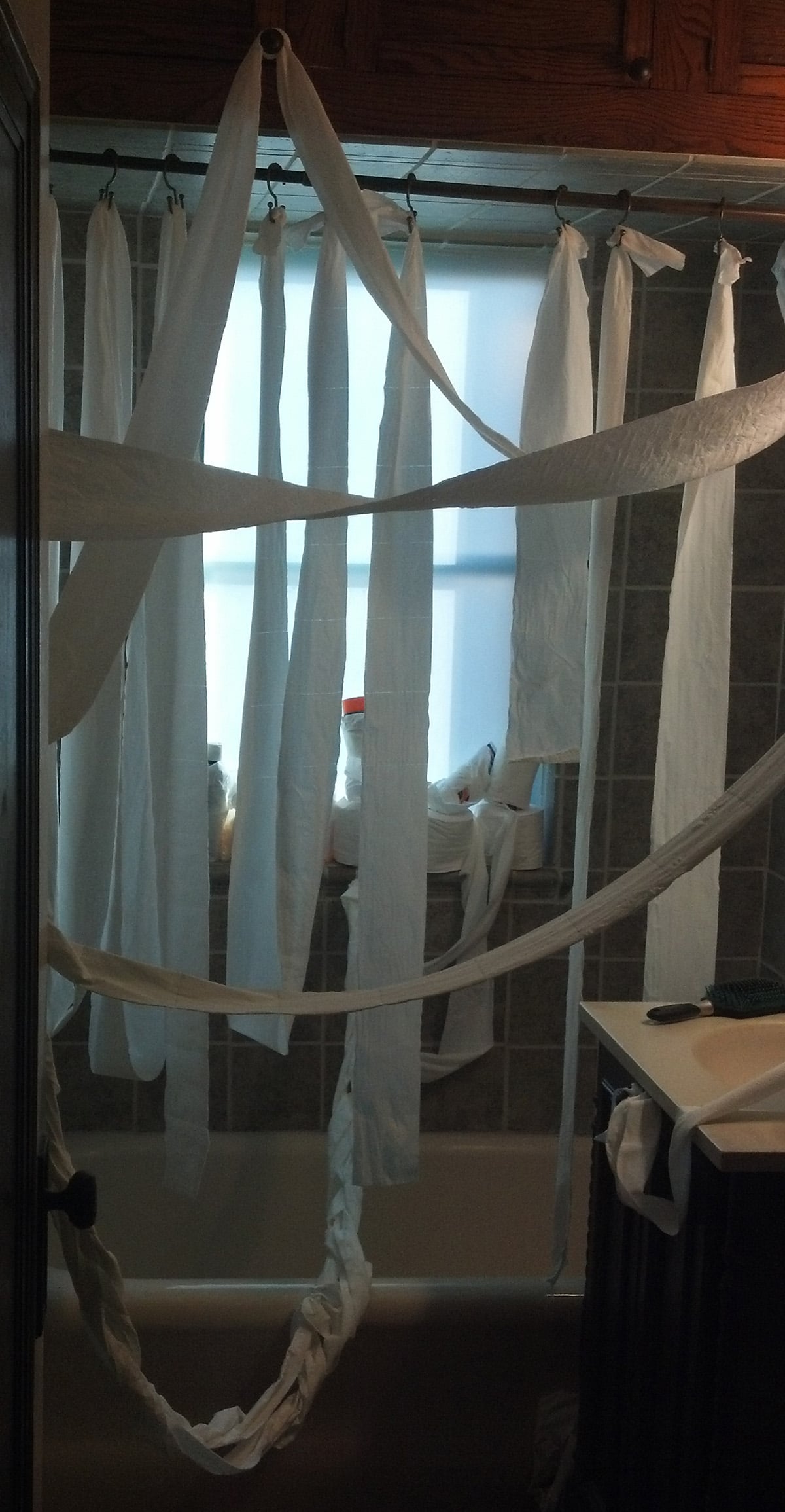 The shower curtain replaced with strands of toilet paper hanging from the hooks.