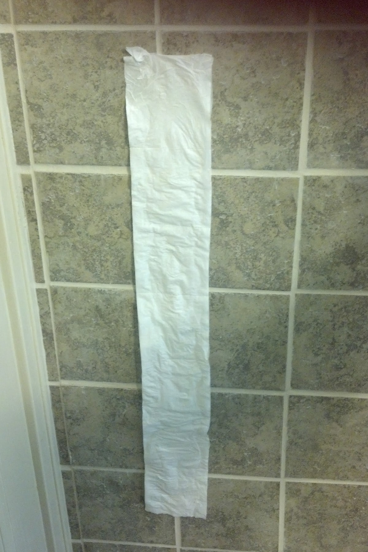 A strip of toilet paper affixed to the shower wall.