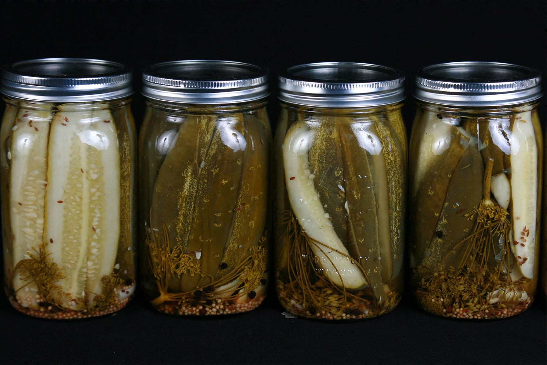 A line of 4 large jars of homemade dill pickles.