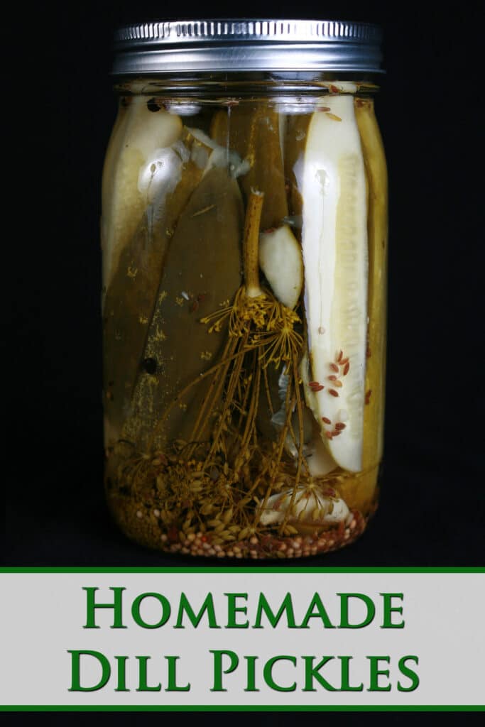 Homemade Dill Pickles Celebration Generation
