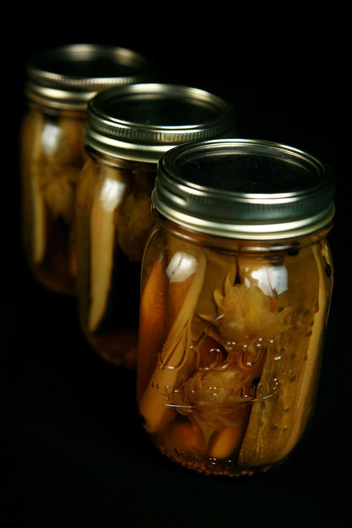 3 jars of hoppy IPA pickles in a row, Hop flowers are visible in the jars, which are against a black background.