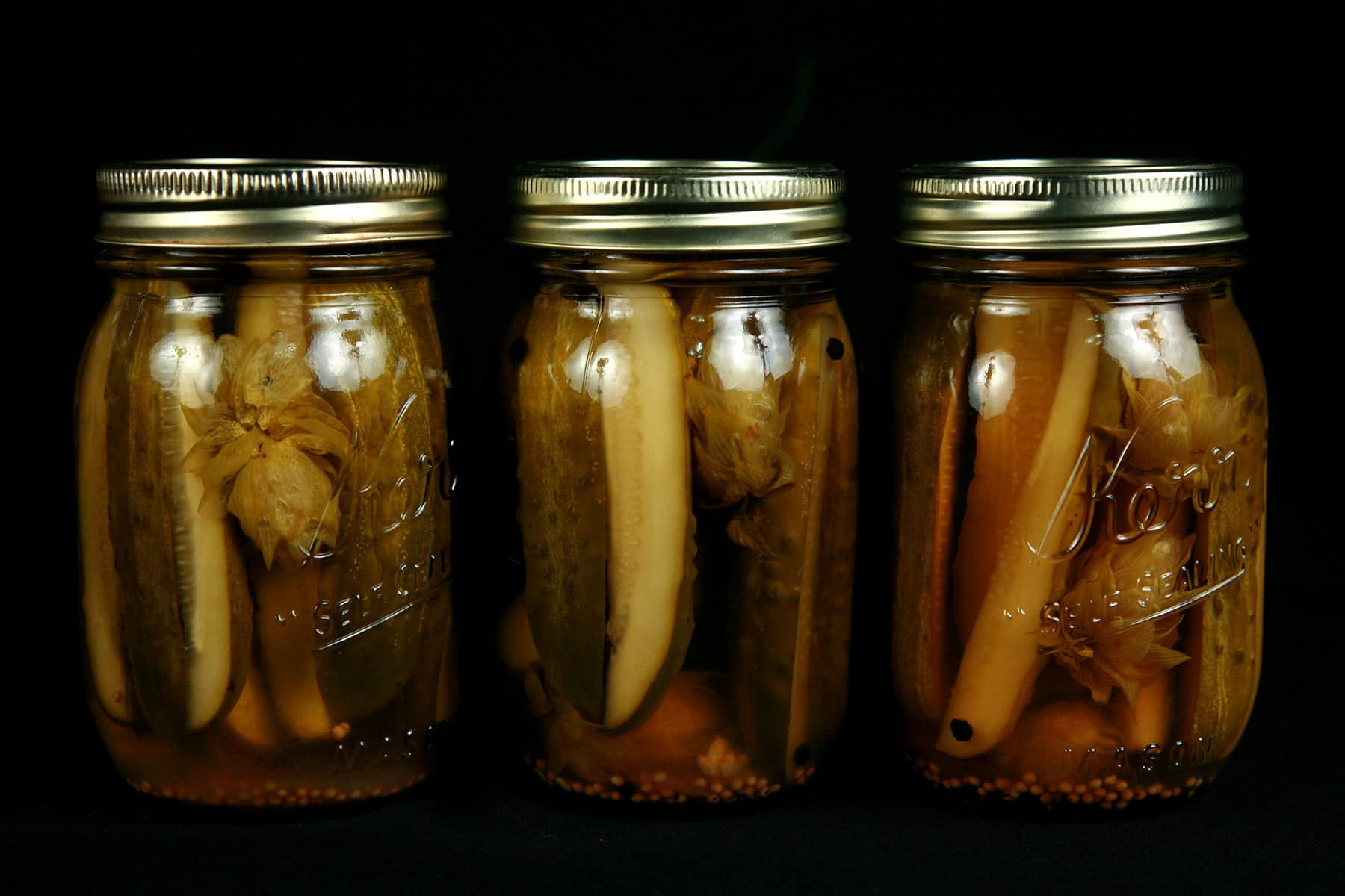 3 jars of hoppy IPA pickles in a row, Hop flowers are visible in the jars, which are against a black background.