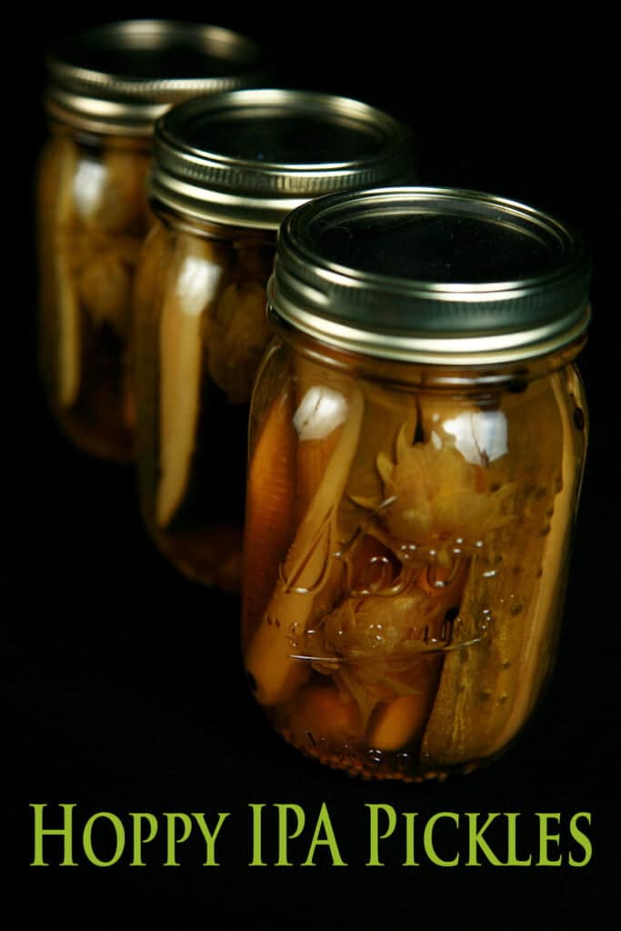 Hoppy IPA Pickles Recipe Recipe Celebration Generation