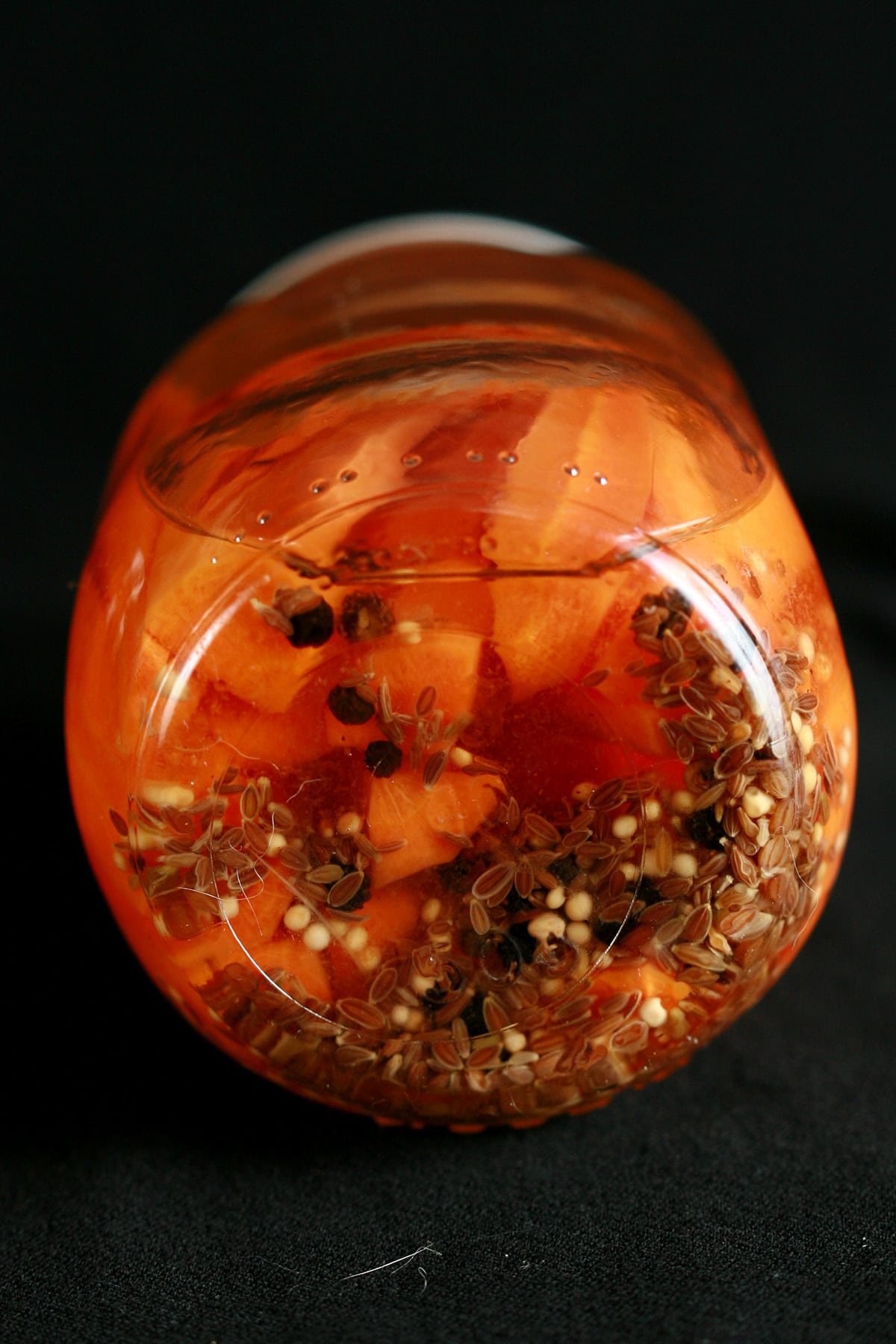 A jar of dill pickled carrots, on its side.