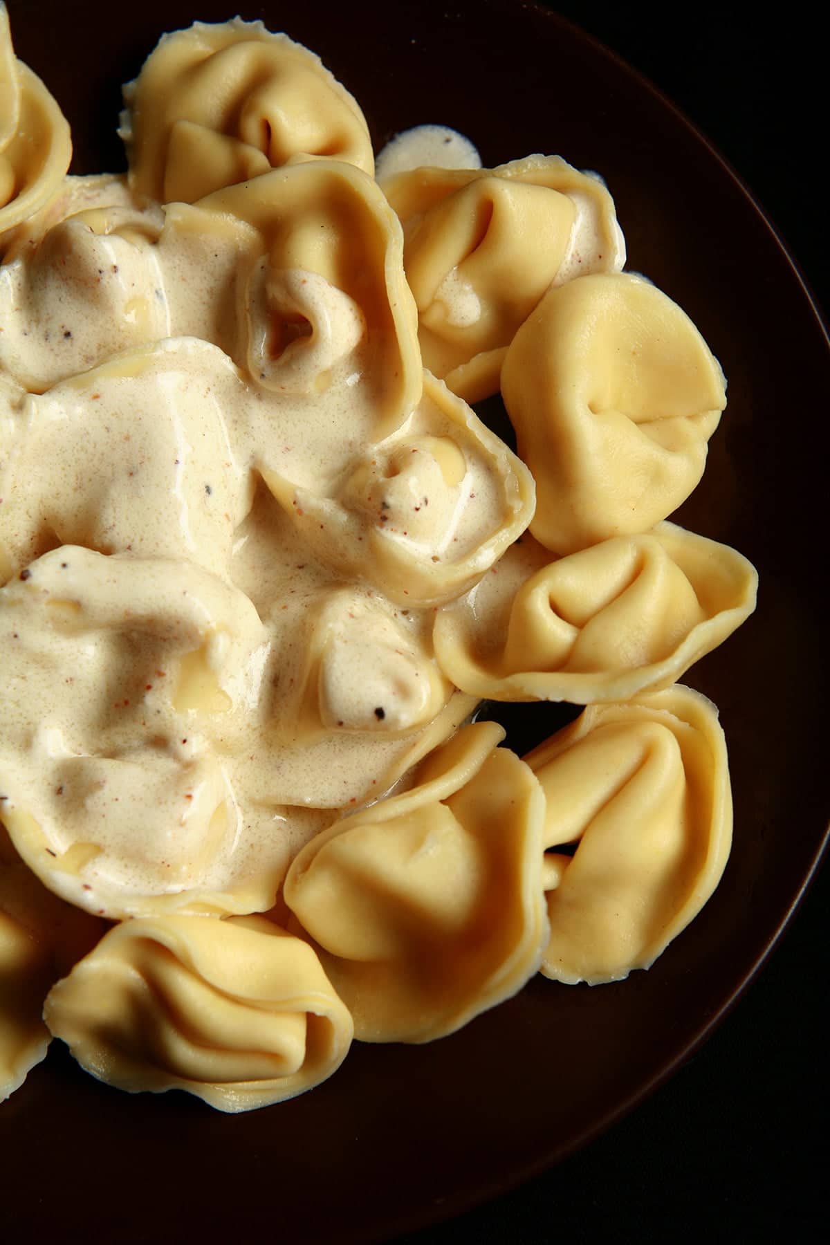 A plate of Acorn Squash Tortellini, topped with nutmeg cream sauce.