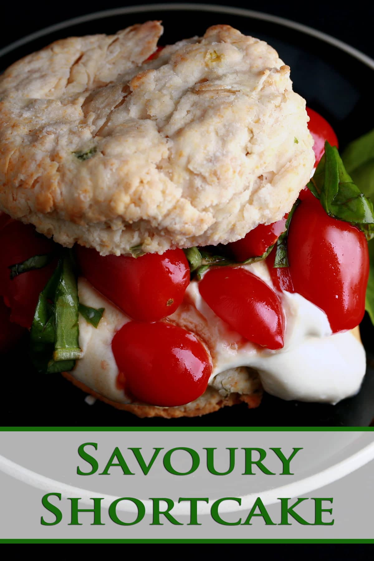 Savoury Tomato Shortcake: A baking powder biscuit "sandwich" on a small black plate.  The biscuit has soft white cheese, cherry tomatoes, and fresh basil as its filling.