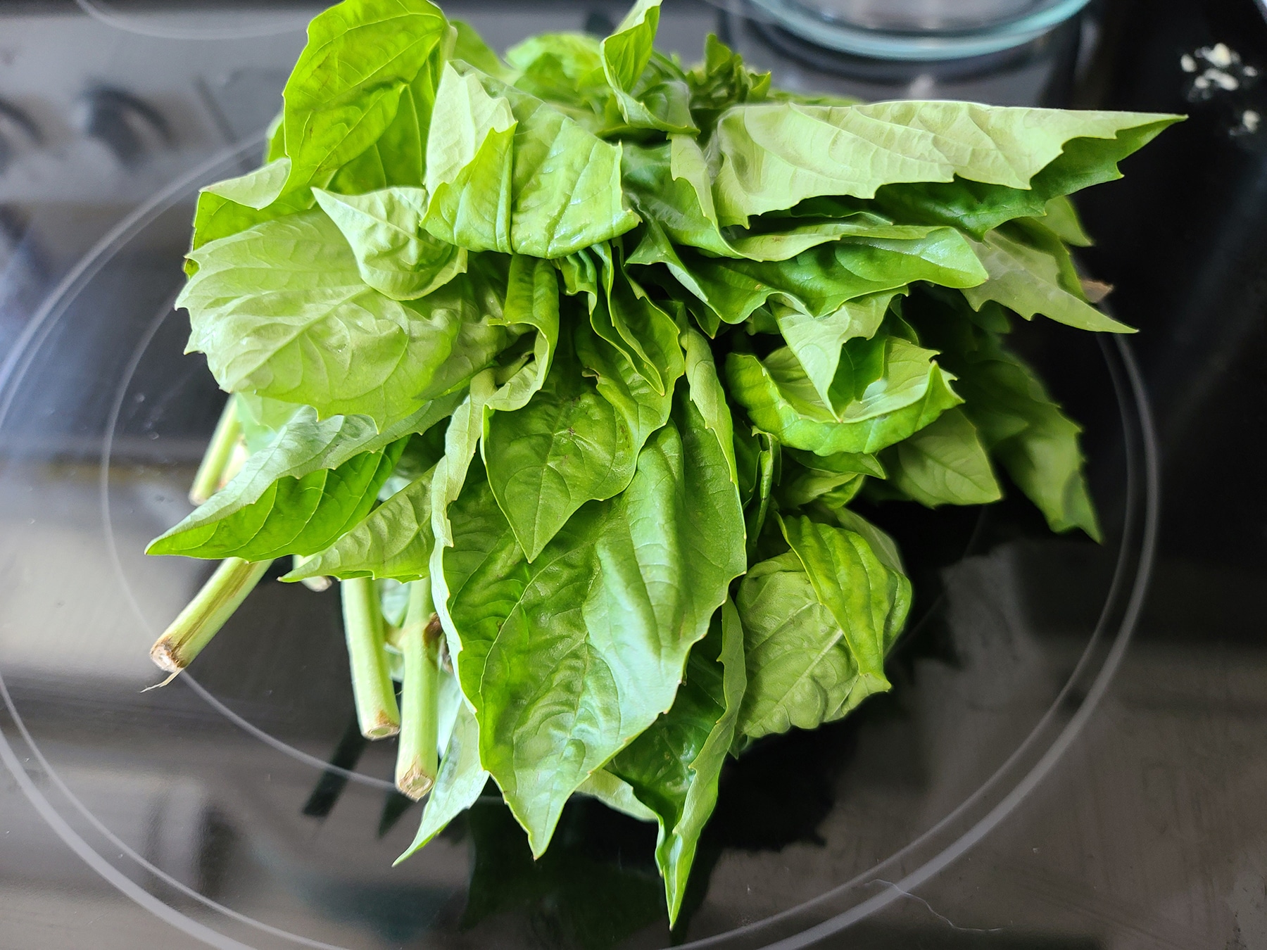 A pile of fresh basil leaves...