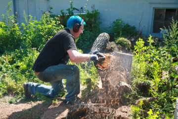 DIY Wood Slice Pathway - Celebration Generation