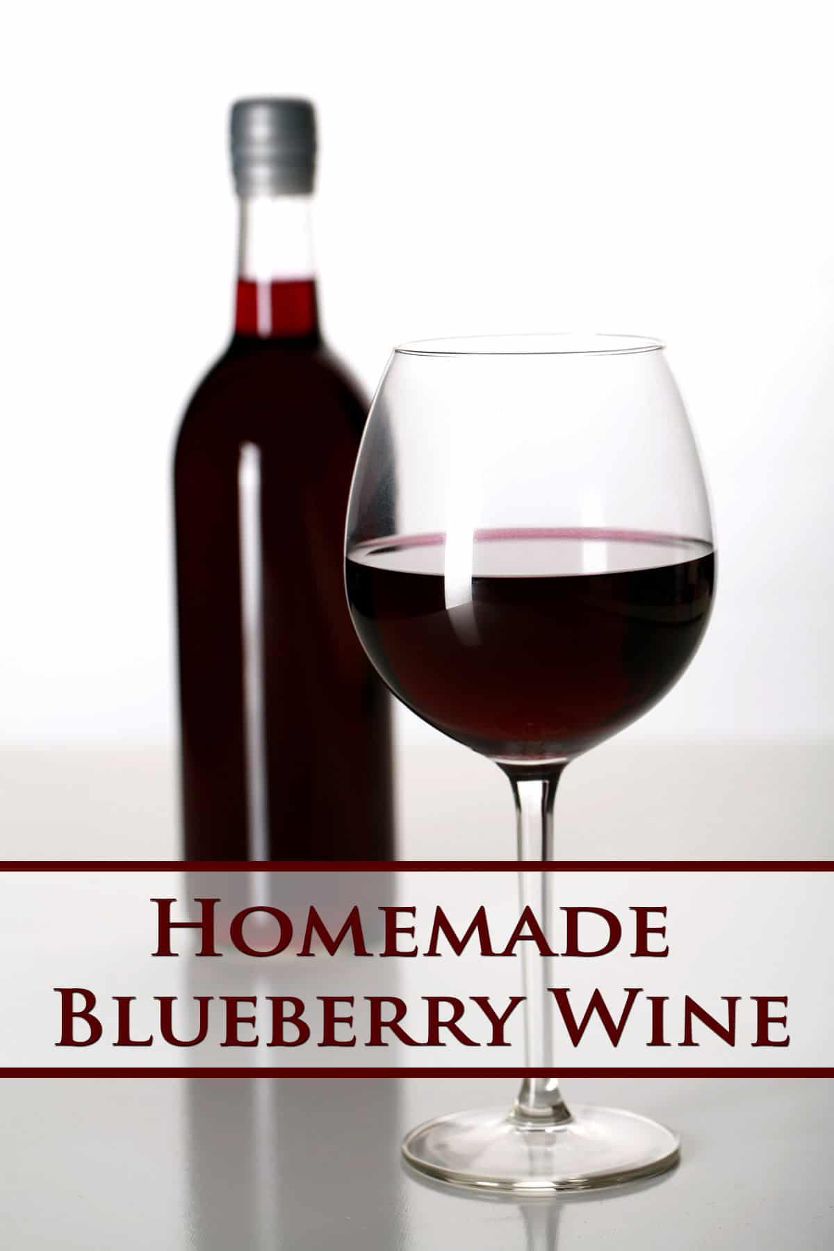 A glass of dark purple wine in front of a bottle of Blueberry wine.
