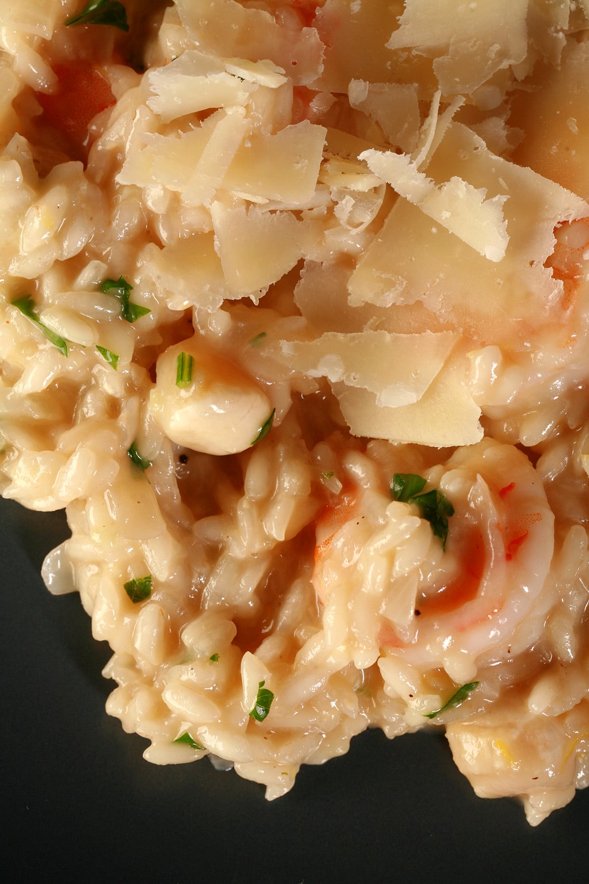 A close up view of seafood risotto on a plate.