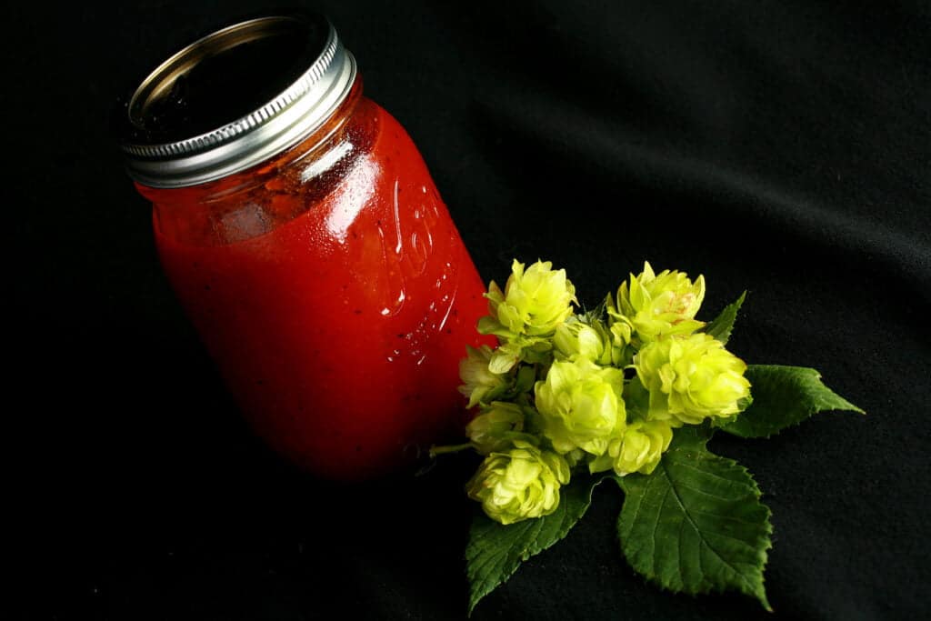 Hoppy IPA BBQ Sauce Recipe Celebration Generation