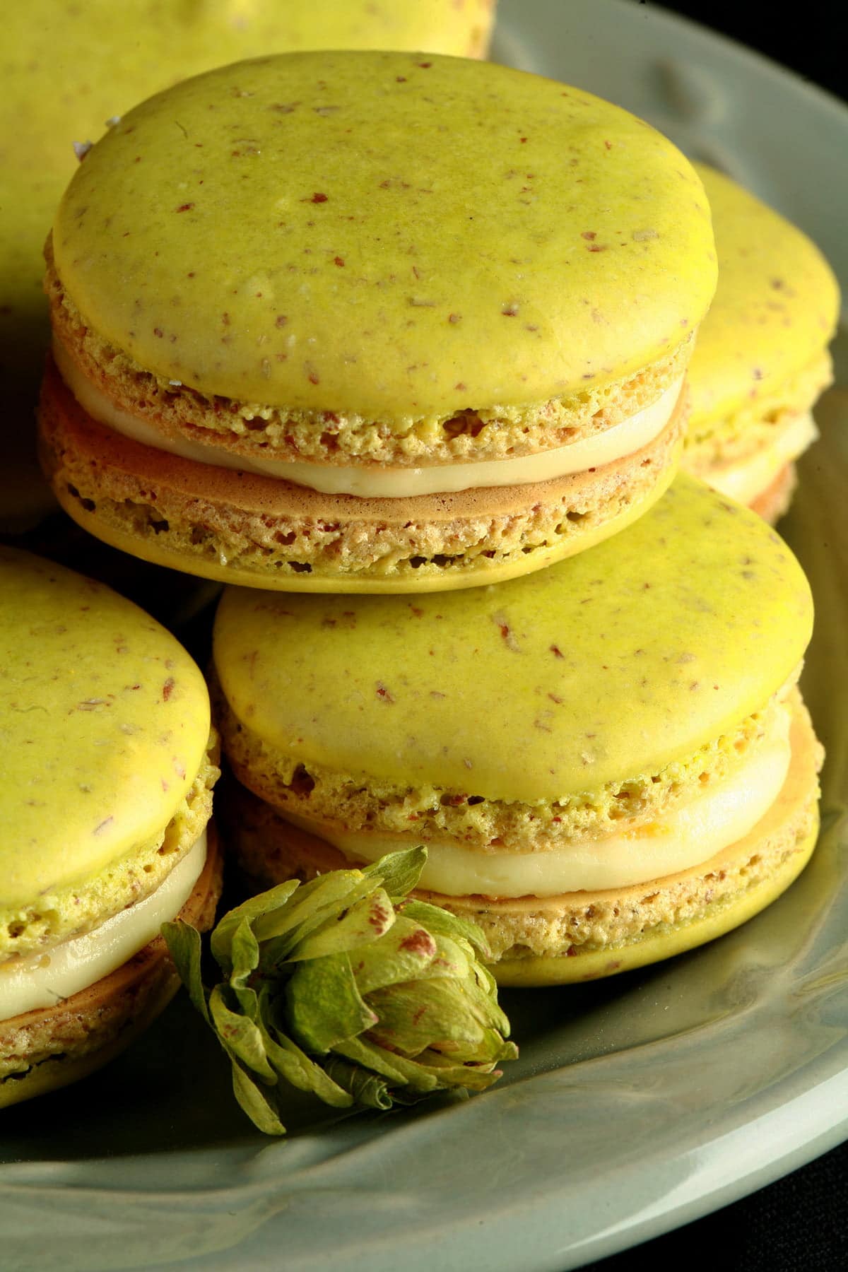 A small green plate is piled high with bright lime green Citrus Hop French Macarons. There is a fresh hop flower on the plate, and bits of orange zest visible in the filling of the macarons.