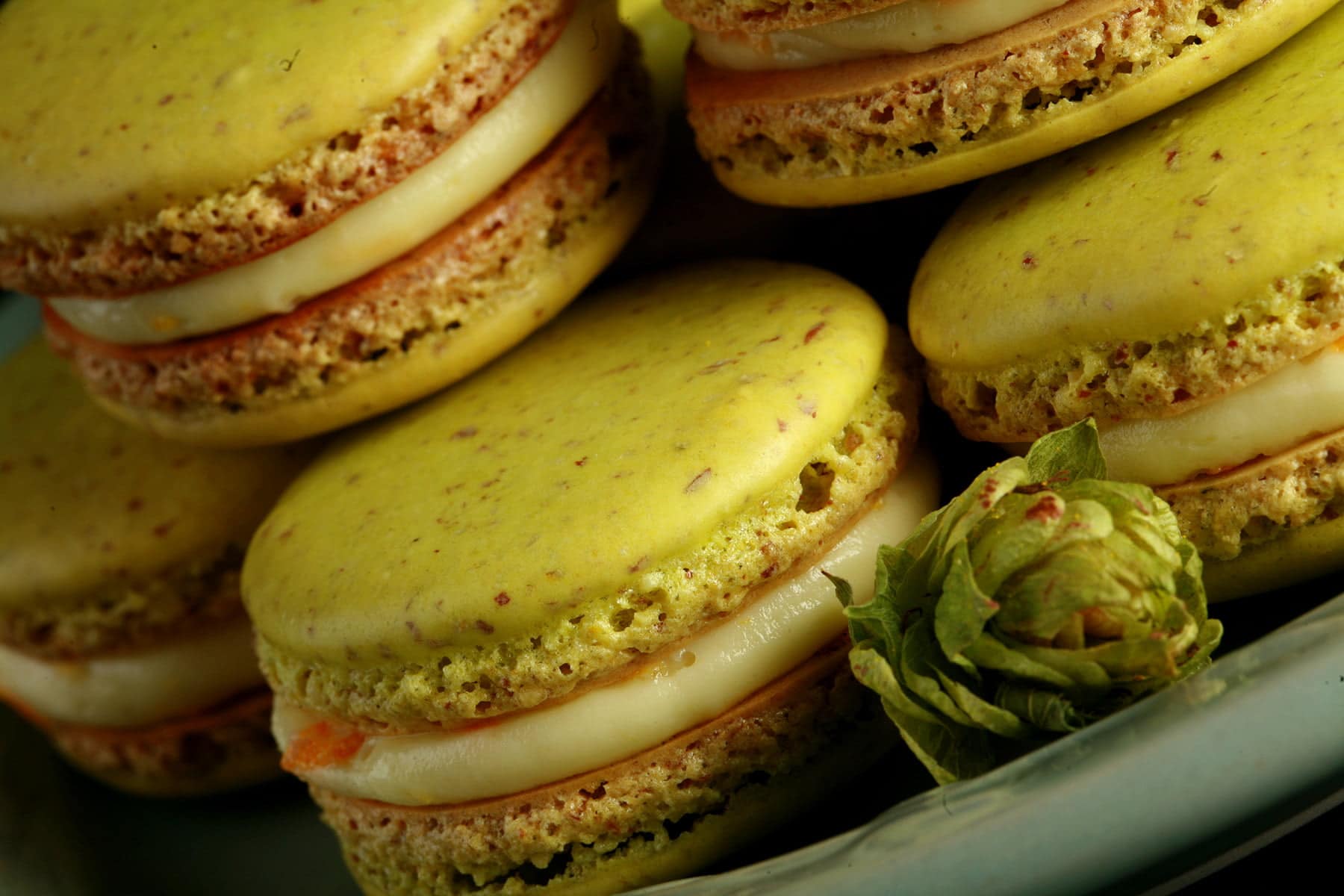 A small green plate is piled high with bright lime green Citrus Hop Macarons. There is a fresh hop flower on the plate, and bits of orange zest visible in the filling of the macarons.