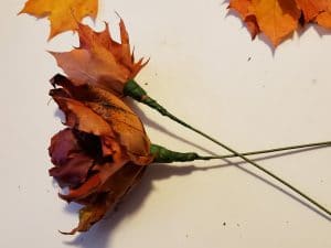 Two completed maple leaf roses rest on their sides.