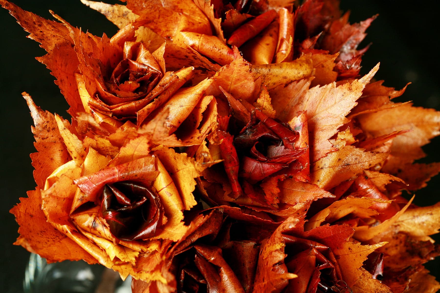 A bouquet of Maple Leaf Roses - roses that have been handcrafted from freshly fallen maple leaves.