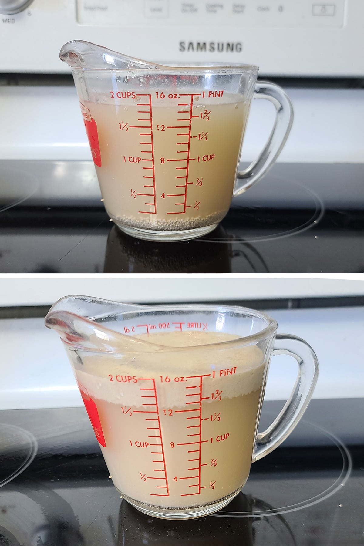 Yeast rising in a measuring cup of water.