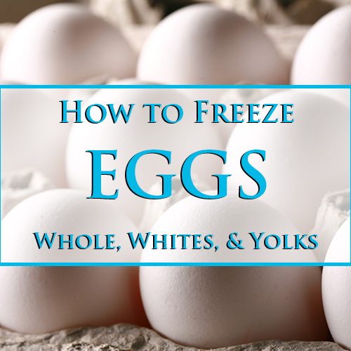 How to Freeze Eggs Whole Eggs, Egg Yolks, and Egg Whites