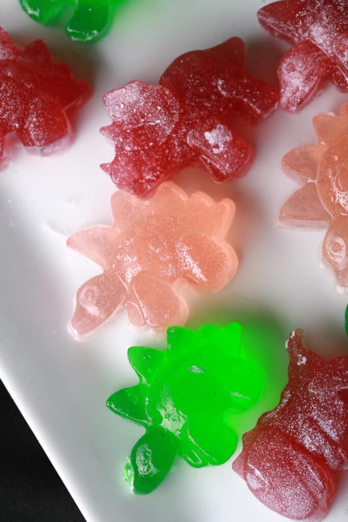 Homemade BCAA Gummies Celebration Generation