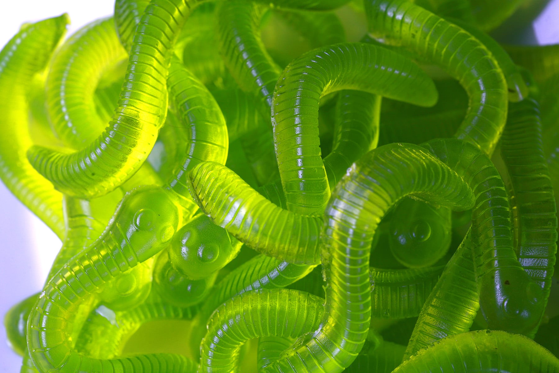 Dill Pickle Gummy Worms - Celebration Generation