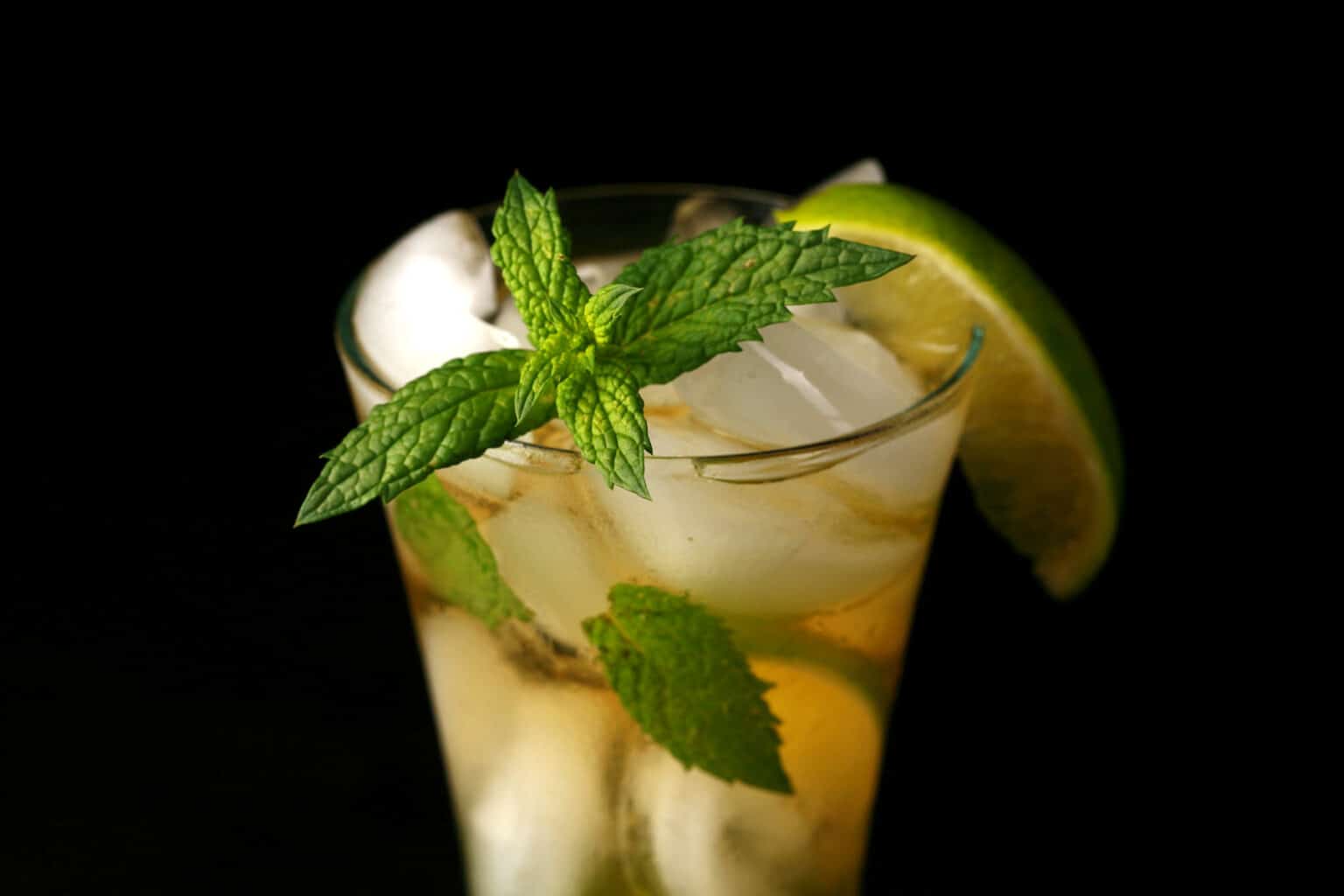 Marie's Favorite Mojito Recipe - Celebration Generation