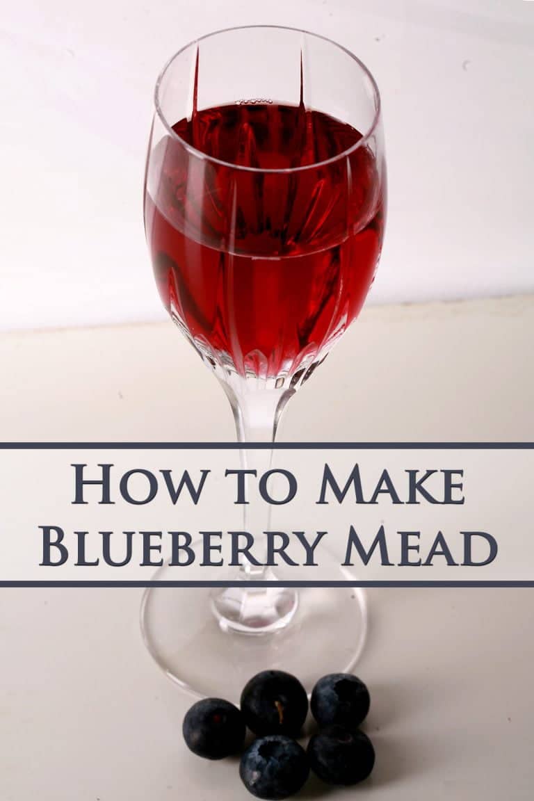 Homemade Blueberry Mead Recipe Celebration Generation