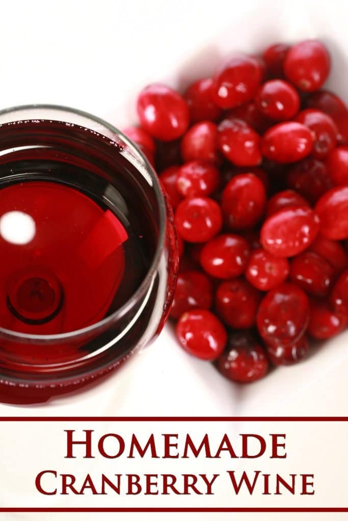 Homemade Cranberry Wine Recipe Celebration Generation