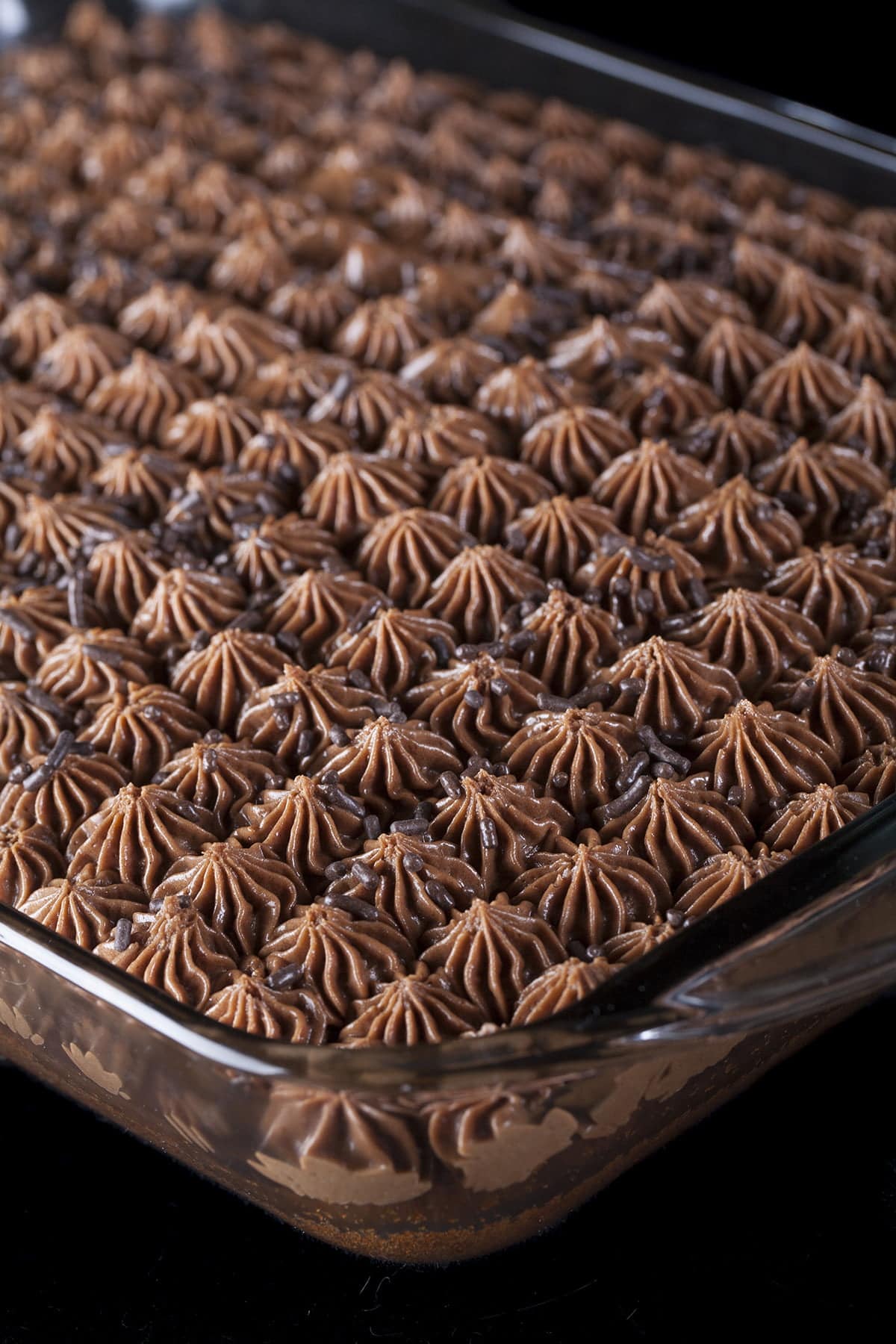 Close up view of a chocolate cake with stars of chocolate frosting on top - Homemade Deep N Delicious cake, accurate to the source material!