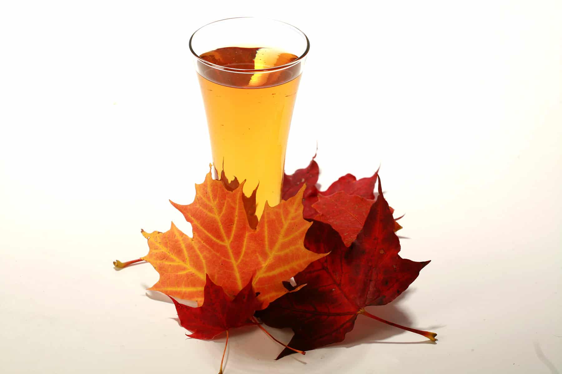 A tall glass of maple hard apple cider, surrounded by brightly coloured fall maple leaves.