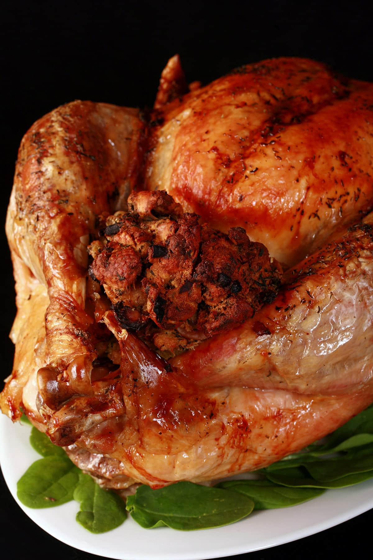 A close up photo of a roasted turkey with chestnut stuffing.