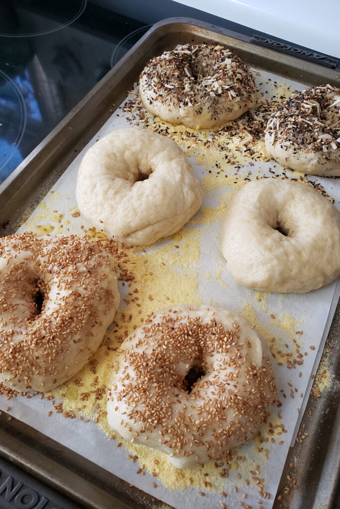 How to Make Bagels - Celebration Generation