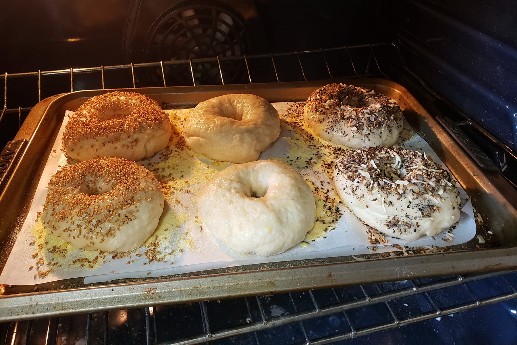 A pan of 6 bagels are in the oven. 2 are plain, two are coated in sesame seeds, and 2 are coated with "everything" seasoning.