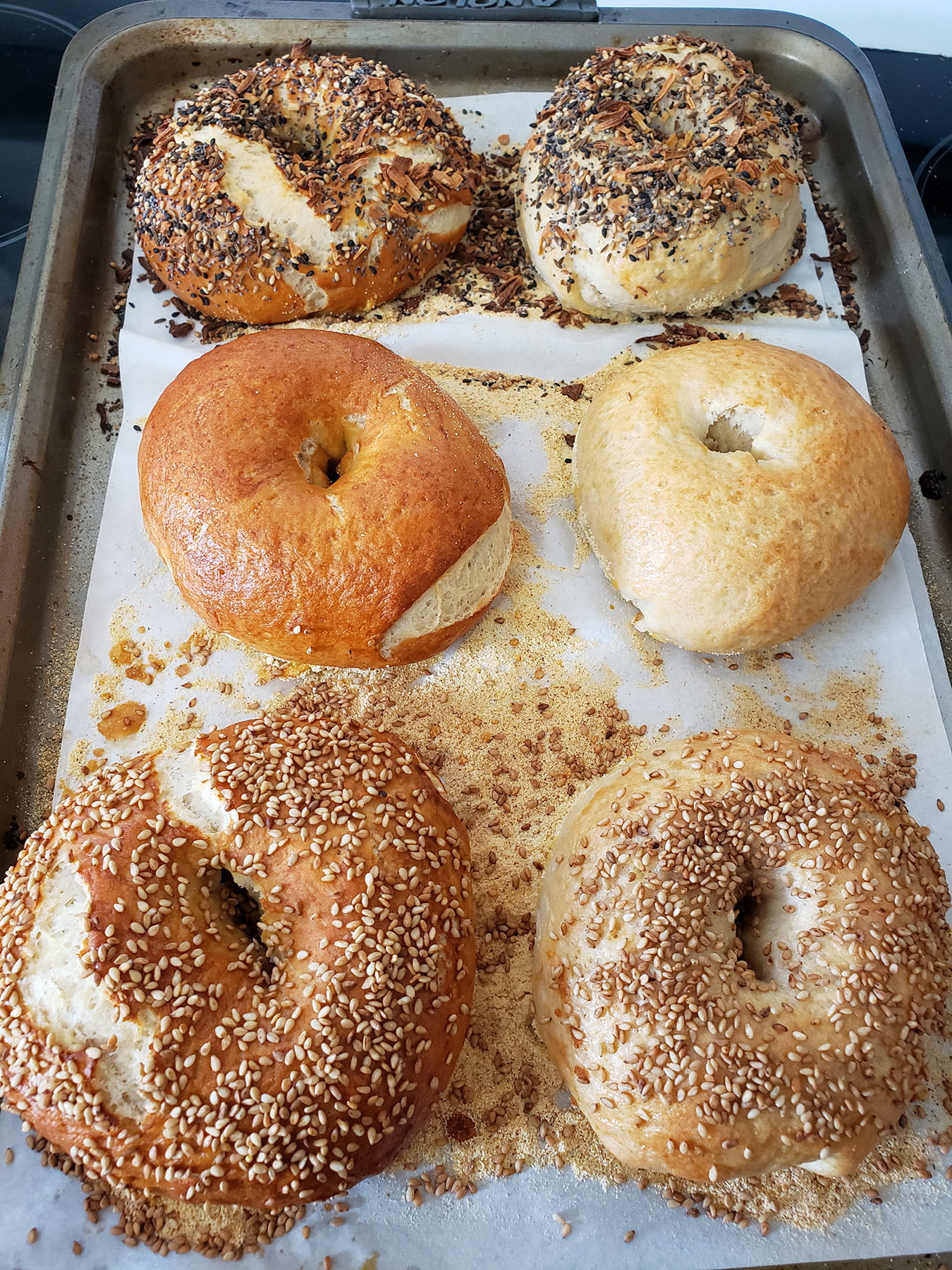 A pan of 6 bagels, fresh out of the oven. 2 are plain, two are coated in sesame seeds, and 2 are coated with "everything" seasoning.