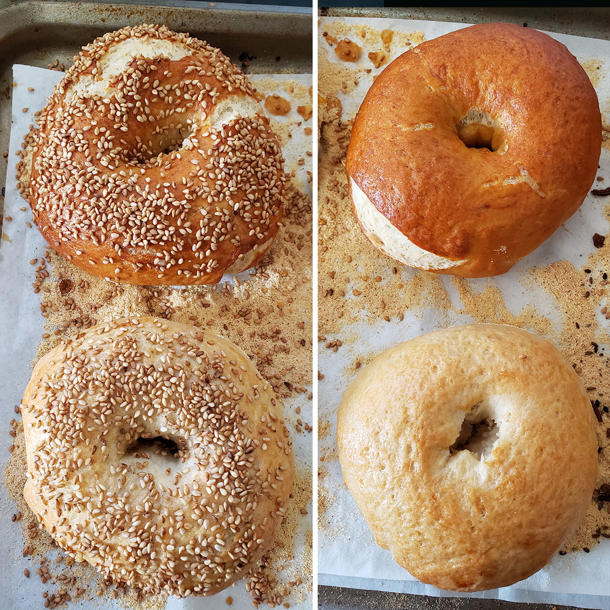 A 2 photo compilation image, showing 4 bagels. The two on the left are coated in sesame seeds, the two on the right are not. The outer dough of the top two are a much deeper brown than the two at the bottom of the image.