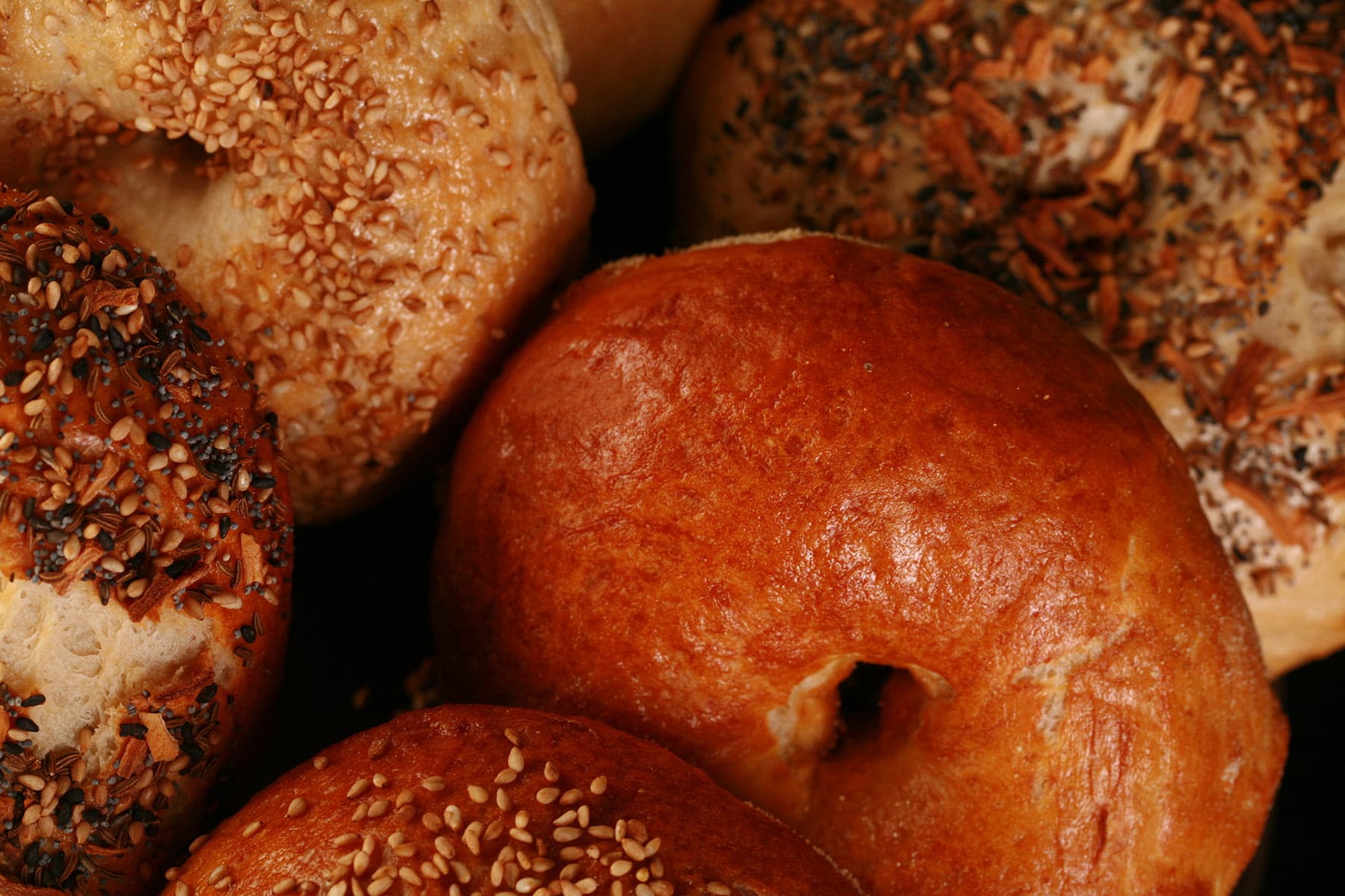 Close up photo of a small brown plate, piled with 6 large bagels, in various flavours. They were made with this How to Make Bagels tutorial.